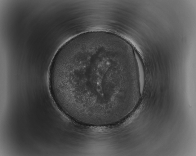 X0000093250991200710101437