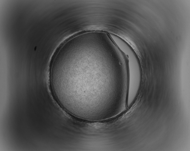 X0000093250992200710101437