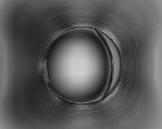 X0000093250993200710101437