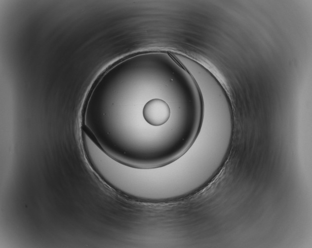 X0000093250996200710101437