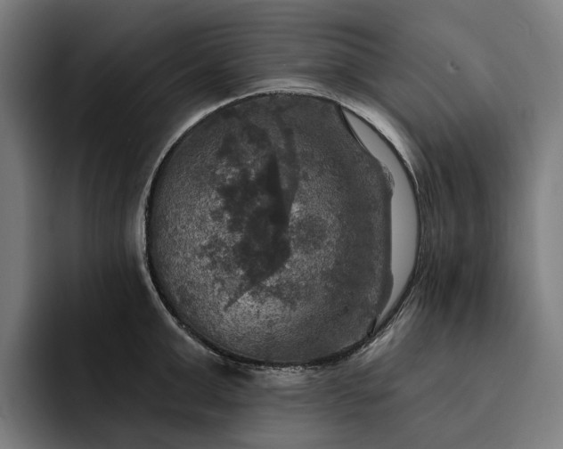 X0000093250999200710101437