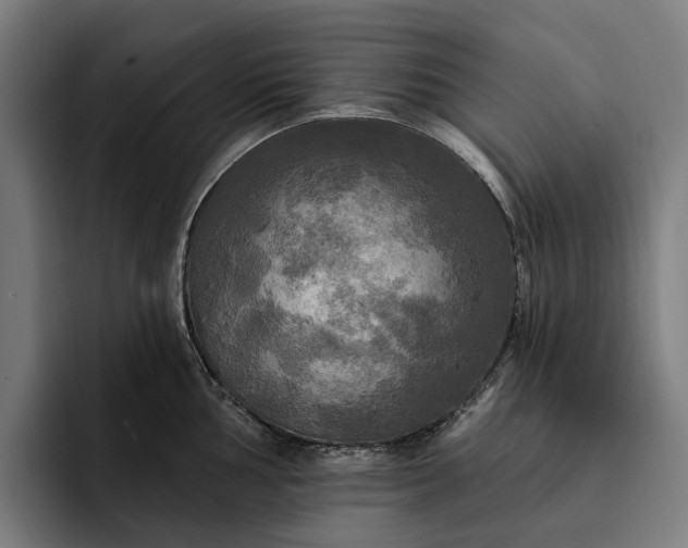 X0000093251002200710101437