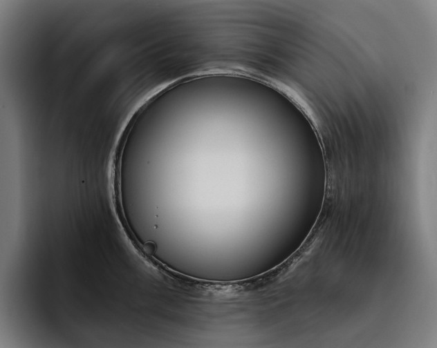 X0000093251003200710101437