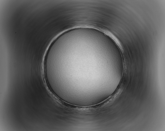 X0000093251004200710101437