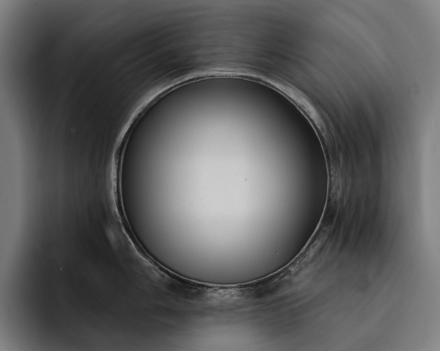 X0000093251006200710101437