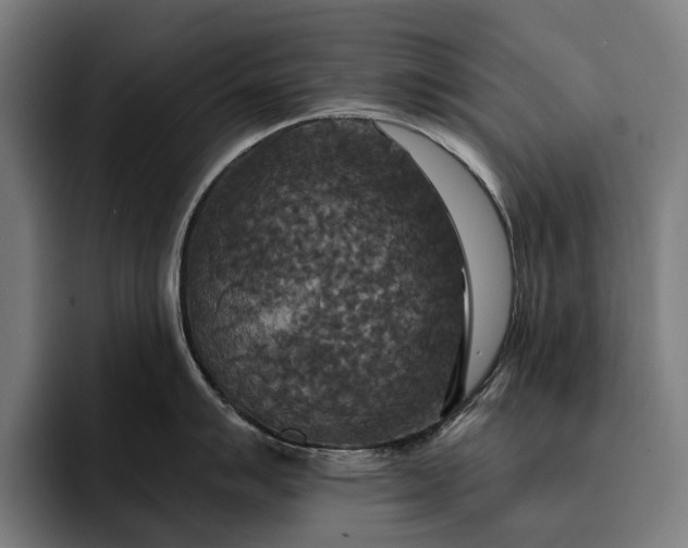 X0000093251007200710101437