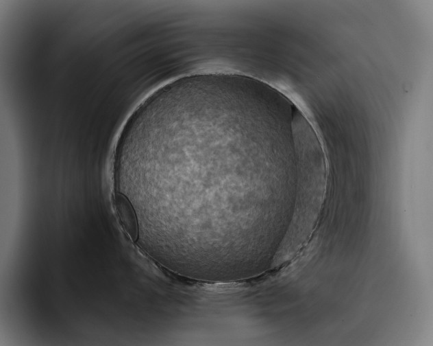 X0000093251008200710101437