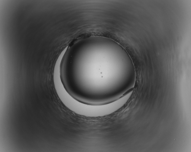 X0000093251010200710101436