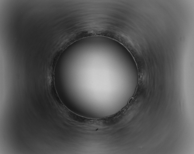 X0000093251012200710101436