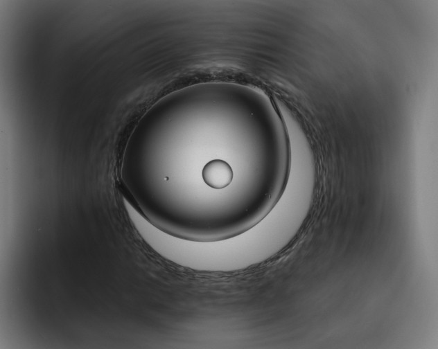 X0000093251014200710101436