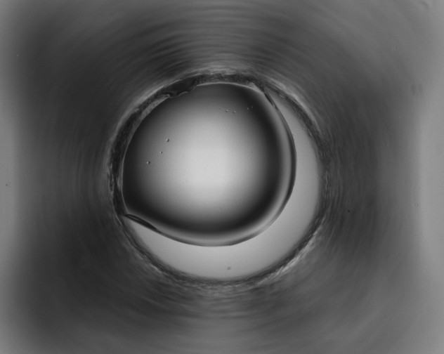 X0000093251018200710101437