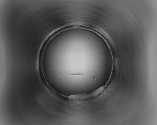 X0000093251020200710101437