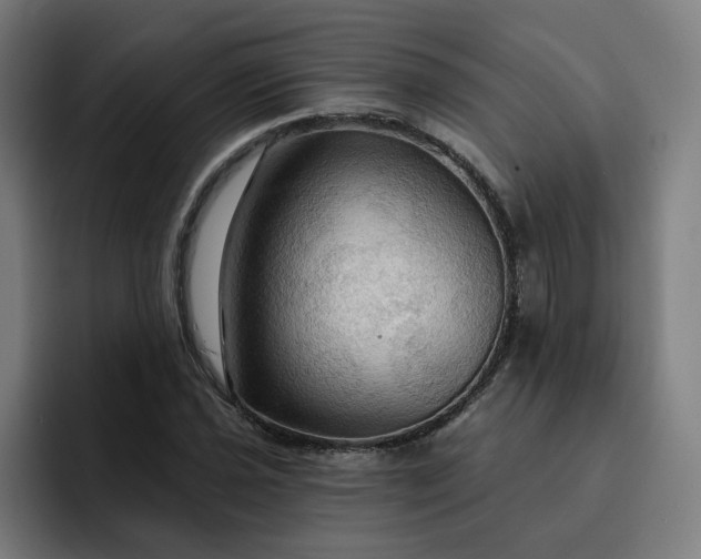 X0000093251021200710101437