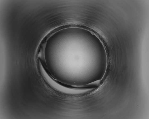 X0000093251022200710101437