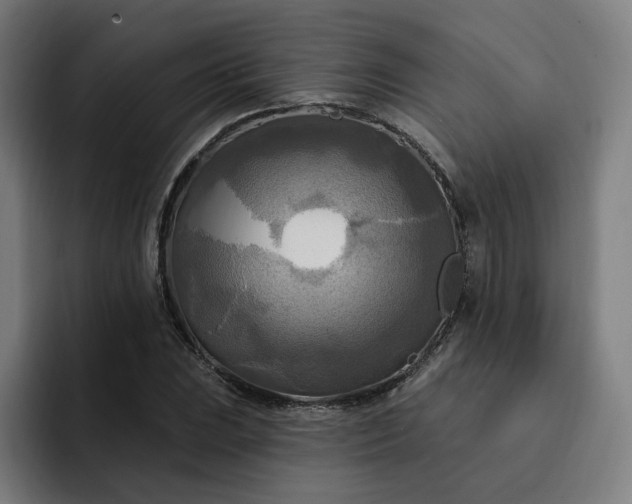 X0000093251023200710101437