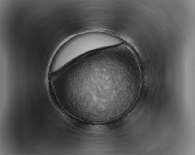 X0000093251024200710101437