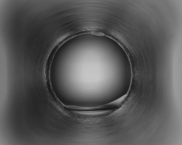 X0000093251026200710101437