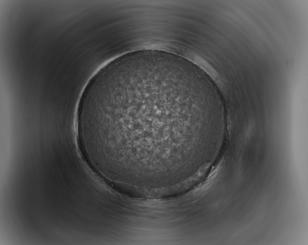 X0000093251028200710101437