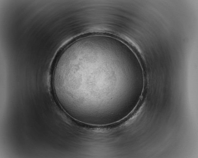 X0000093251029200710101437