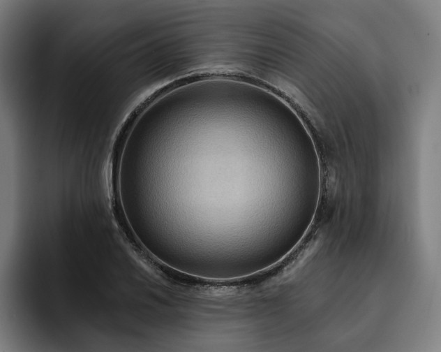 X0000093251030200710101437