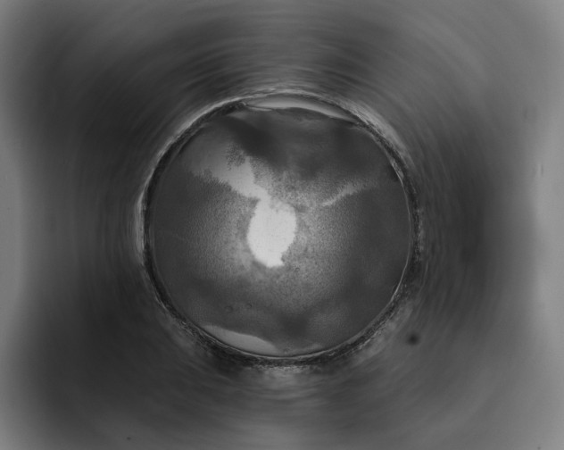 X0000093251031200710101437