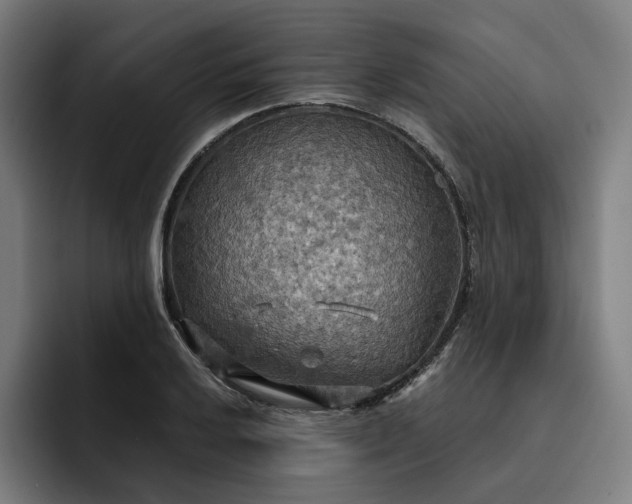 X0000093251032200710101437