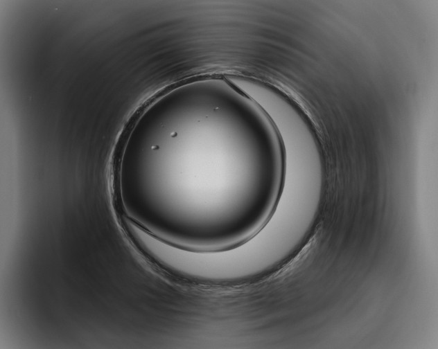 X0000093251034200710101437