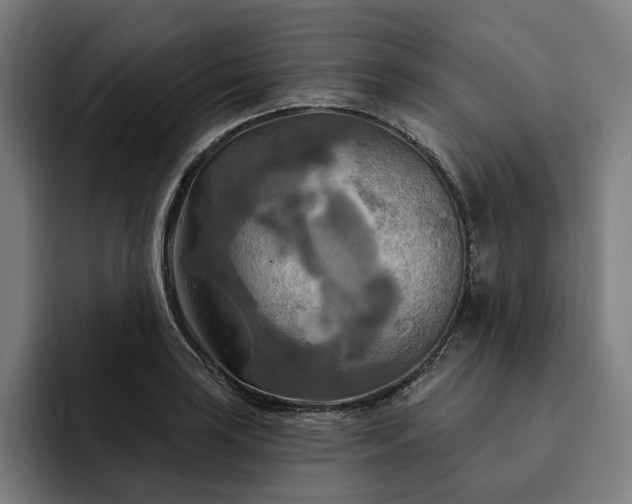 X0000093251035200710101437