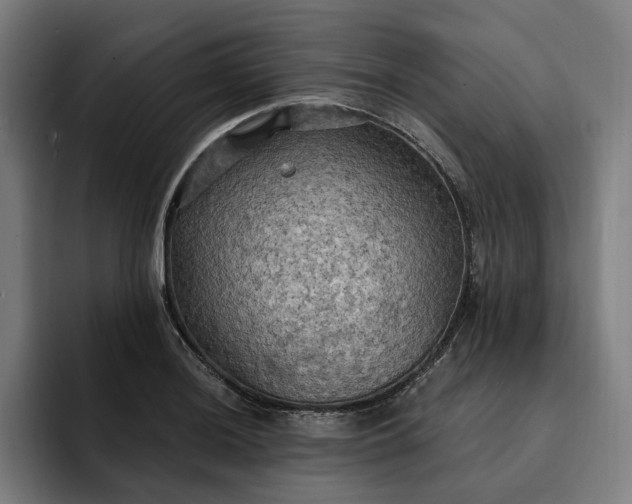 X0000093251036200710101437