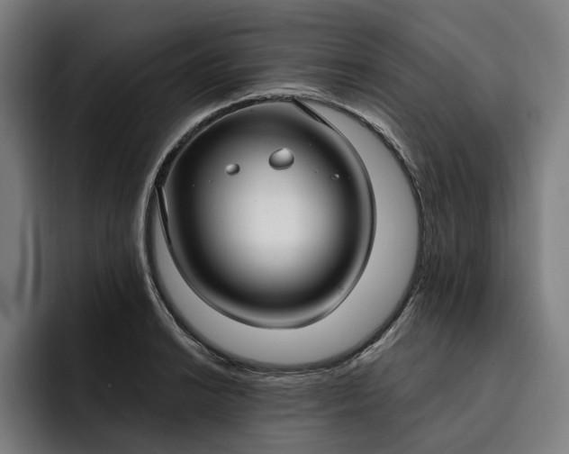 X0000093251038200710101437