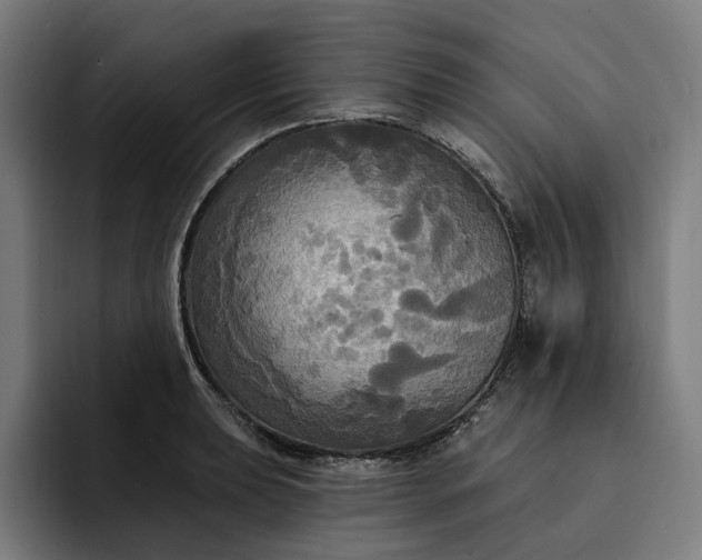 X0000093251039200710101437