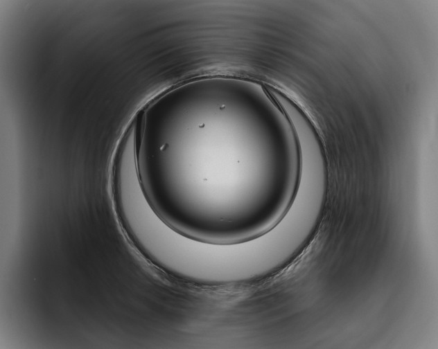 X0000093251042200710101437