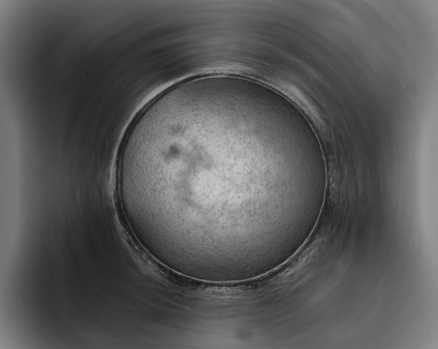 X0000093251044200710101437