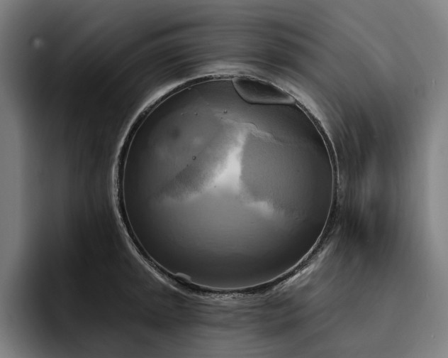 X0000093251045200710101437