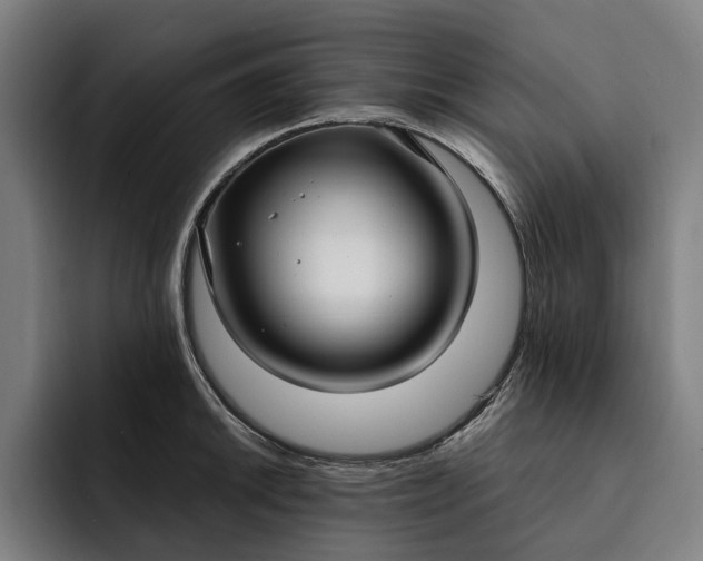 X0000093251046200710101437