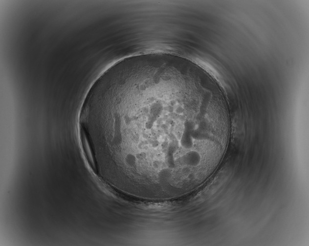 X0000093251047200710101437