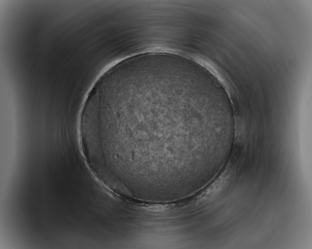 X0000093251048200710101437