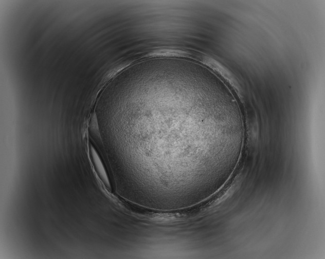 X0000093251049200710101437