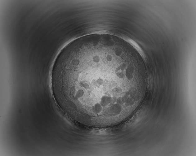 X0000093251051200710101437