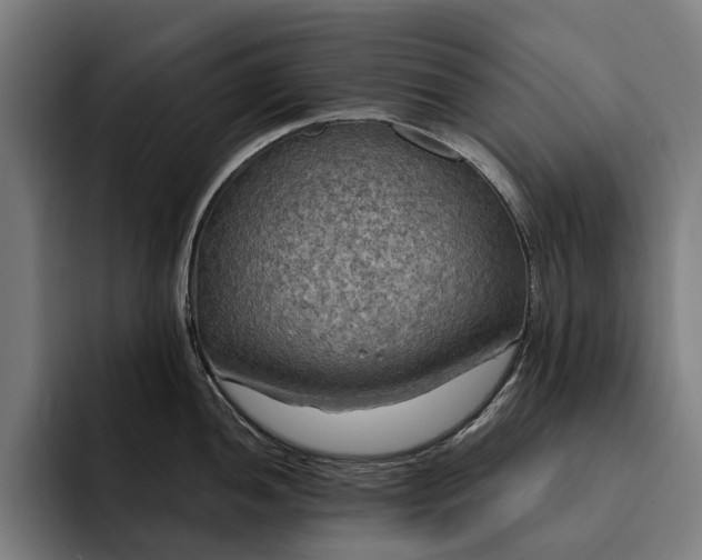 X0000093251052200710101437