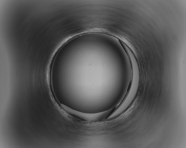 X0000093251054200710101437