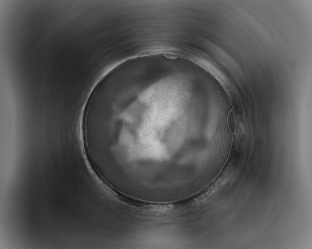 X0000093251055200710101437