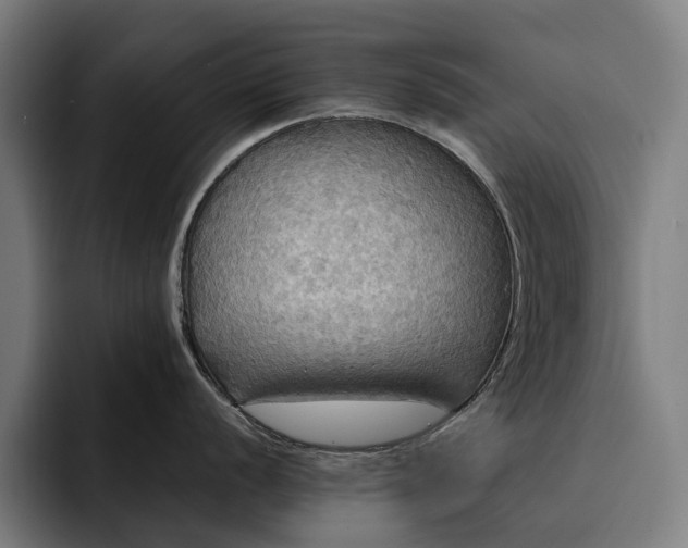 X0000093251056200710101437