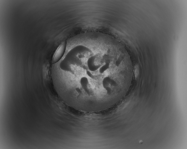 X0000093251059200710101436