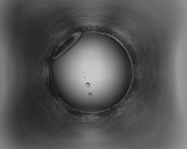 X0000093251061200710101436