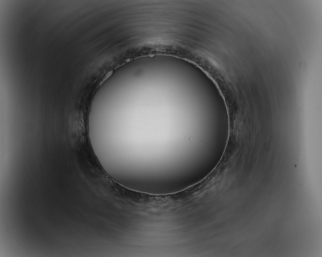 X0000093251062200710101436