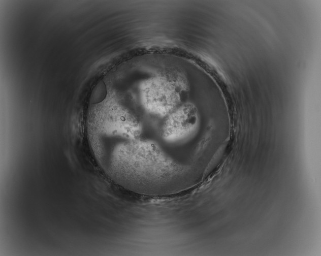 X0000093251063200710101436