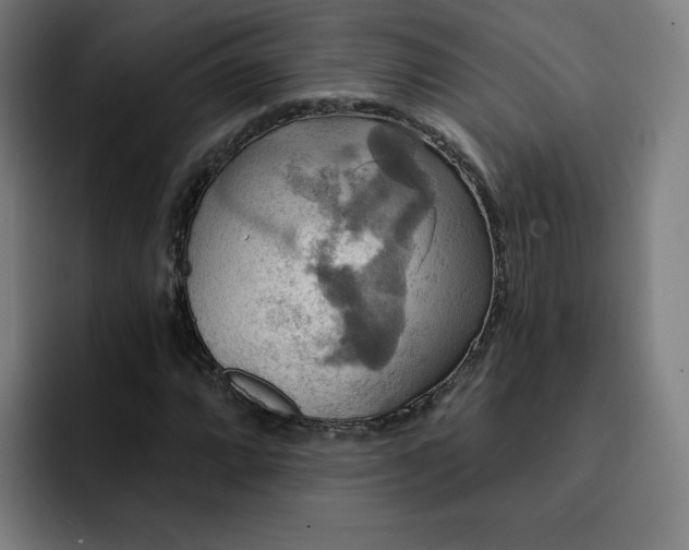 X0000093251064200710101436