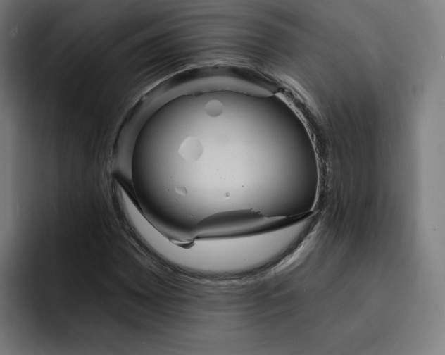 X0000093251065200710101436