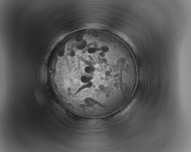 X0000093251067200710101436